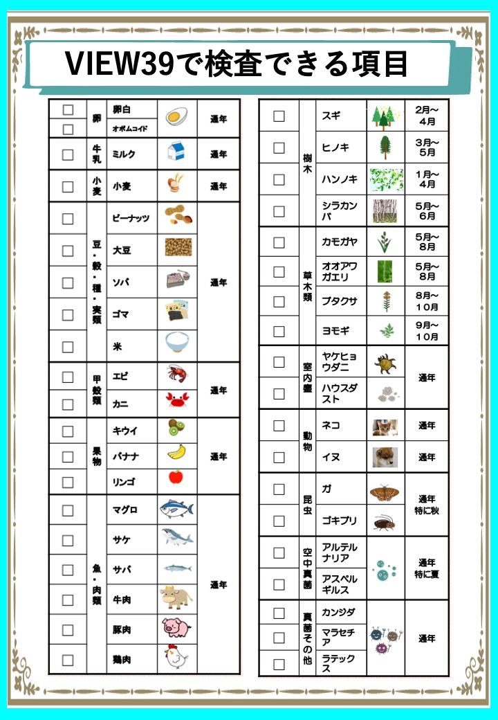 当院のヒーライト